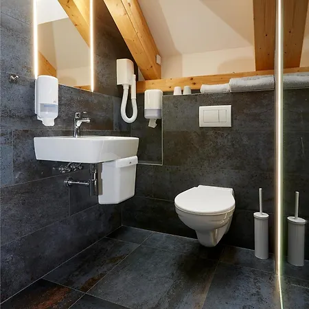 Kunc - V Soukromi - Borova 607, - Stredni Cechy Homestay *
