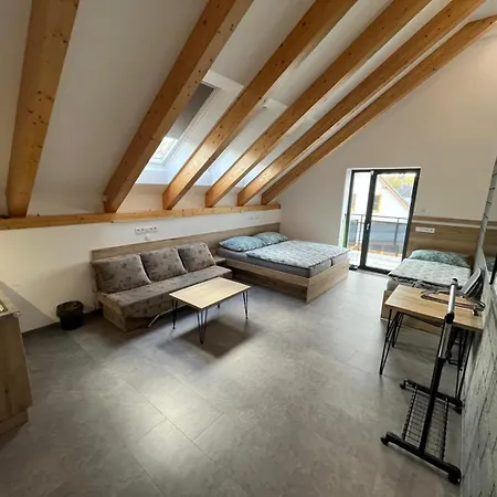 Kunc - V Soukromi - Borova 607, - Stredni Cechy Homestay *
