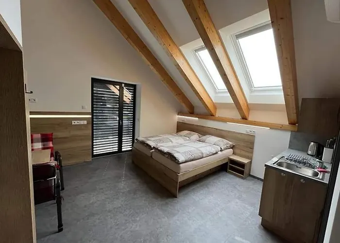 Kunc - V Soukromi - Borova 607, - Stredni Cechy Homestay